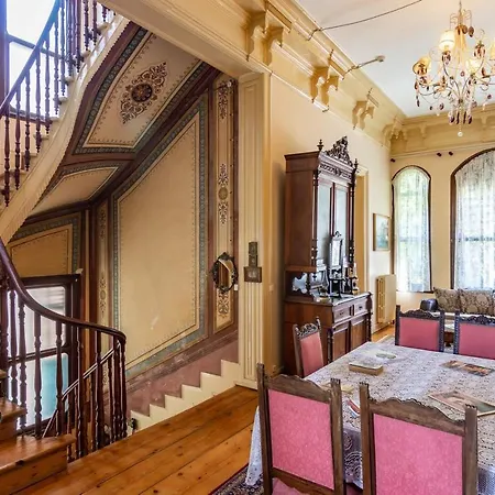 Buyukada Anastasia Meziki Boutique 3* אדאלר